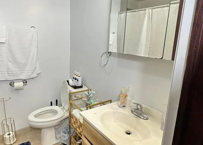 Luxury 2 Bed 2 Bath In With Free Parking *